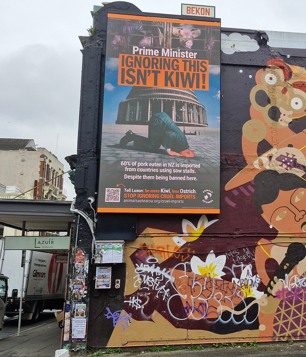 The 5-metre-high billboard on Cuba Street in Wellington