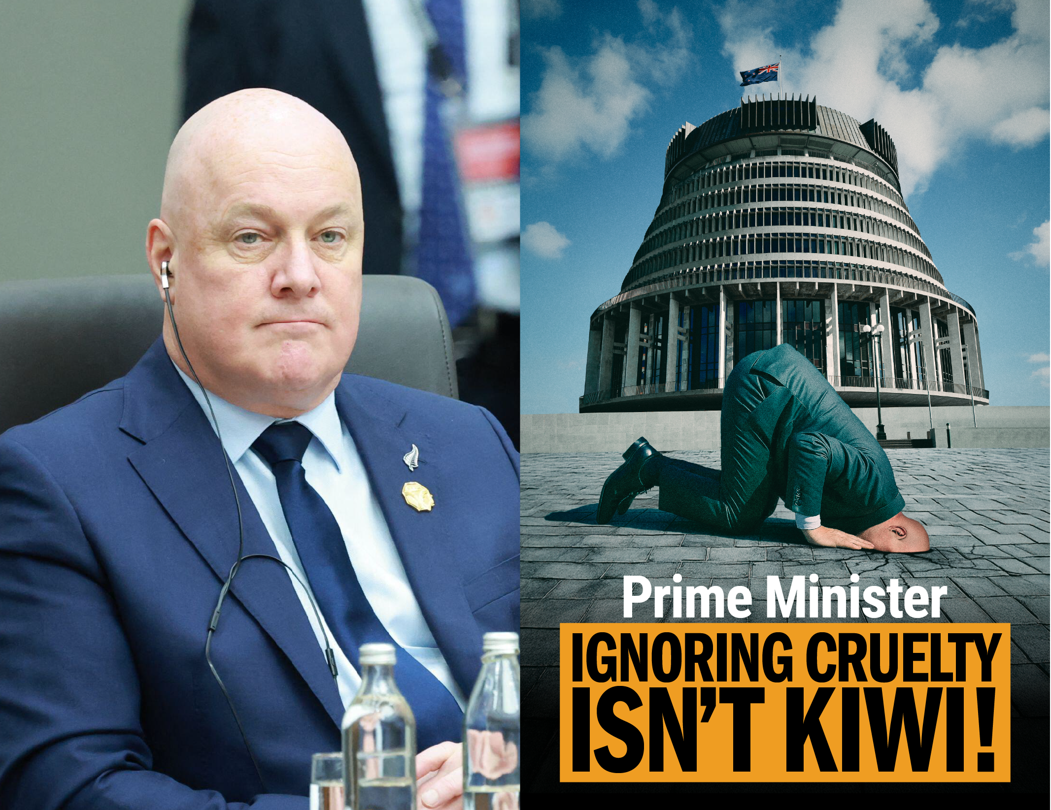 Be More Kiwi, Less Ostrich