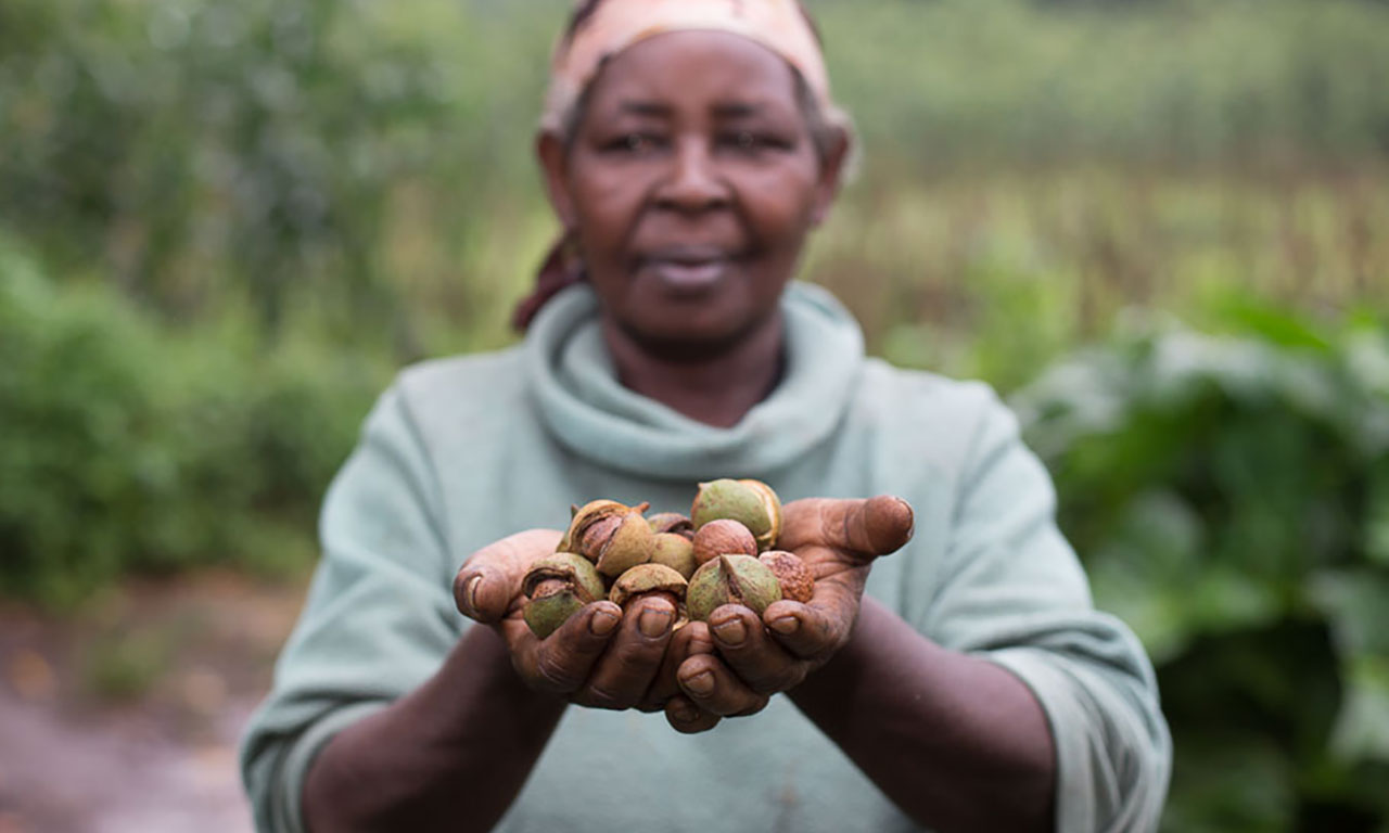 World Fair Trade Day
